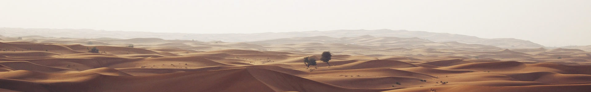 ӱ׿Ƽ޹˾